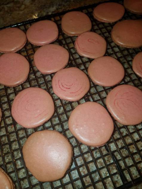 26056066_1514444035299917_8233644081937167045_n